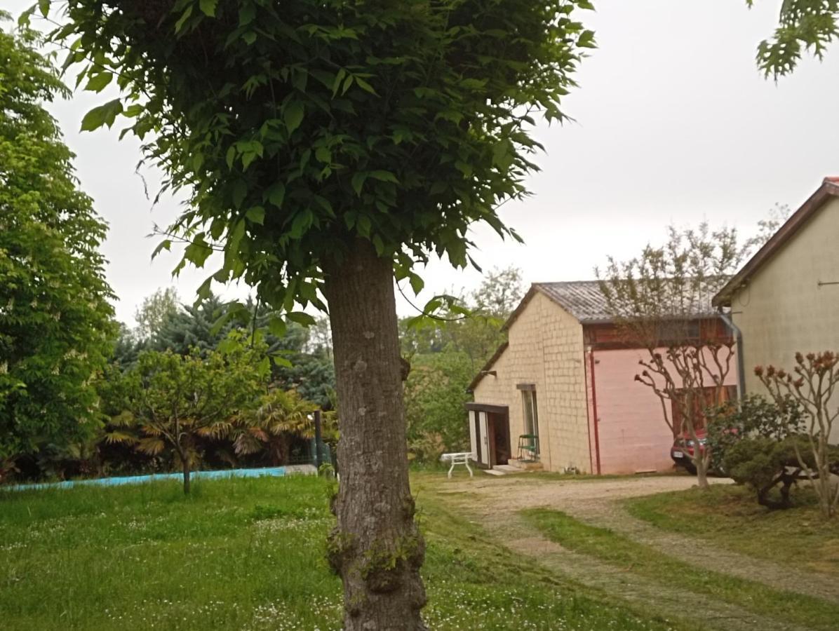 La Canette De Phil - Chambre D'Hotes, Independante - Vue Sur Piscine 萨马坦 外观 照片
